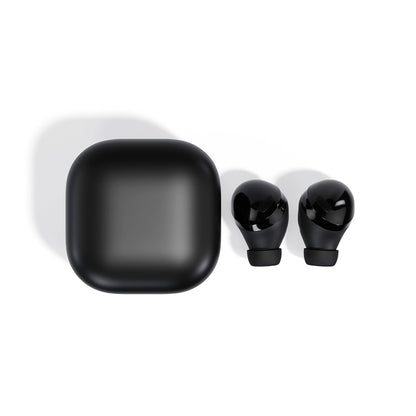 Noise Isolating Earbuds